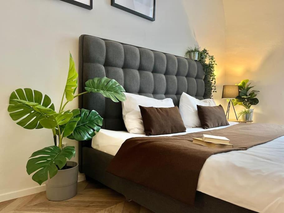 Apartment Beautiful New Town Prague